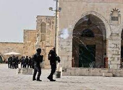 الإمارات ترحّب ببدء عمليات تفريغ “صافر”