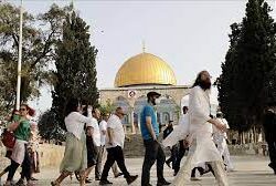 ملك هولندا يعتذر رسميًّا عن ممارسة بلاده العبودية خلال الحقبة الاستعمارية