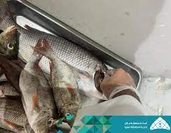 المركز الوطني للأرصاد ينبه من أتربة مثارة على منطقة جازان