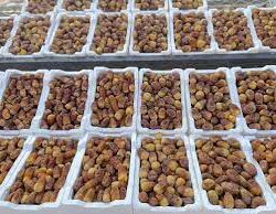 يتكون من 252 وحدة سكنية.. “آفاق للاستثمار والتطوير العقاري” تدشن مشروع “آفاق كيو بجدة”