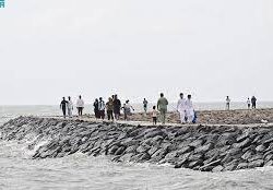 بعد تقرير “احد”.. مشغل “زراعة جازان” يطرح حلاً بجدولة متأخرات رواتب الثلاثة أشهر