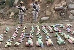 رحلات علمية لطالبات برنامج موهبة الإثرائي بتعليم جازان