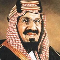 حرس الحدود بجازان يحبط محاولة تهريب (82) كيلوجرامًا من نبات القات المخدر