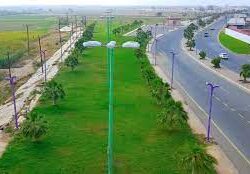 القبض على شخص لترويجه 95 كيلوجرامًا من نبات القات المخدر