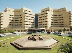 رئيس هيئة الترفيه يُعلن تفاصيل موسم الرياض بهويته الجديدة