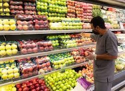 حرس الحدود بجازان يحبط تهريب (48) كيلوجرامًا من نبات القات المخدر