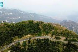 اليوم الوطني 93 طموح واحلام تتحقق