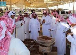 “نسابق الأحلام” بماضٍ عريق ومستقبل مزدهر.. “الترفيه” تكشف عن فعالياتها لليوم الوطني