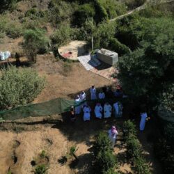 الصحف الصادره اليوم