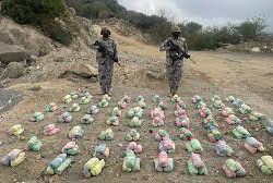 دوريات الإدارة العامة للمجاهدين بمنطقة جازان تقبض على مخالف لنظام أمن الحدود لمحاولته تهريب (193) كيلوجرامًا من نبات القات المخدر