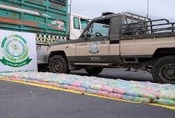 وديان محافظة الحرث .. سحر الطبيعة وروعة المكان