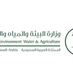 مهرجان ” الفل والنباتات العطرية 2023م ” بجازان يختتم فعالياته