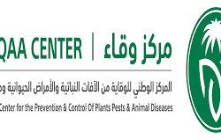 أمانة جازان تهيئ الحدائق والمتنزهات بمحافظة الدرب لاستقبال الزوار خلال موسم الربيع