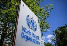 حرس الحدود بجازان يحبط محاولة تهريب (165) كيلوجرامًا من نبات القات المخدر