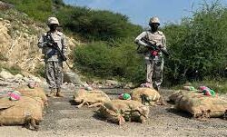 سمو وزير الخارجية يتلقى اتصالاً هاتفيًا من وزيرة الخارجية الفرنسية