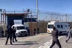 حرس الحدود بجازان يقبض على (4) مخالفين لمحاولتهم تهريب (60) كيلوجراماً من القات المخدر