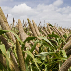 مساعي لتمديد هدنة غزة وتصعيد في الضفة بعد تبني حماس لعملية إطلاق أعيرة بمكان عام بالقدس