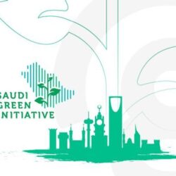 “الجامعة العربية” تؤكد رفضها التهجير القسري لسكان الأراضي الفلسطينية المحتلة