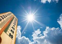 “أمانة جازان” تواصل إصدار “شهادة الامتثال” لمباني المحاور التجارية