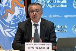 “أصبح حقيقيًّا”.. “اليونيسف” تحذّر من مواجهة سكان غزة خطر الموت جوعًا