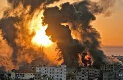 المملكة توحد جهودها لمكافحة تغير المناخ