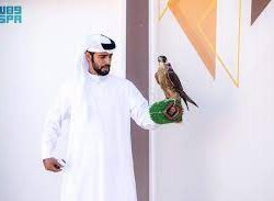 دوريات الأمن بمنطقة جازان تقبض على مخالف لنظام أمن الحدود لترويجه مادتي (الشبو) والإمفيتامين المخدرتين