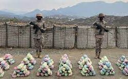 أمير جازان يدشّن حملة الدفاع المدني للسلامة “معاً لشتاء آمن” بالمنطقة