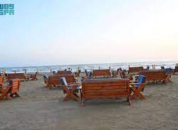 بدء أعمال مشروع البنية التحتية للنقل العام بالحافلات في منطقة جازان