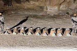 أكثر من 20 ألف عملية نفّذتها الوحدات المتنقّلة للأحوال المدنية في 2023