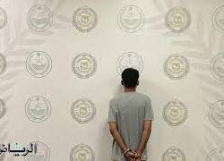 بعد الزلزال القوي وإنذار الـ”تسونامي”.. السفارة في اليابان تؤكد سلامة المواطنين السعوديين