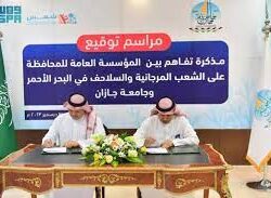 منطقة جازان تستعد لإطلاق مهرجاناتها الشتوية