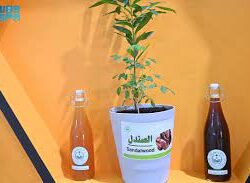 جازان تستضيف بطولة المنطقة الجنوبية لكمال الأجسام