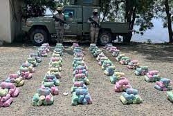 حرس الحدود بجازان يحبط تهريب 225 كلجم من نبات القات المخدر