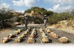 أمانة منطقة جازان تنفّذ 1367 جولةً رقابيةً صحيةً