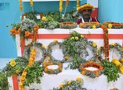 دوريات الإدارة العامة للمجاهدين بمنطقة جازان تقبض على مواطن لنقله 13 مخالفًا لنظام أمن الحدود