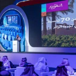 “الحياة الفطرية”: ضبط مخالفين لنظام البيئة بحوزتهما 47 سمكة “قرش الشعاب”