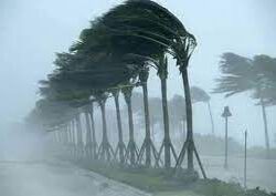 بعد جذب مليون زائر.. إدارة تقويم فعاليات جدة 2023 تغلق منطقة آسيا الصغرى غدًا