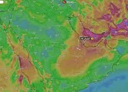 “الشؤون الإسلامية” في جازان تشارك بفعاليات مهرجان حصاد البنّ بالداير