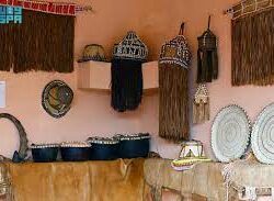 “البديوي” يلتقي وزيرًا ألمانيًا ويبحثان تعزيز التعاون في مجال المساعدات