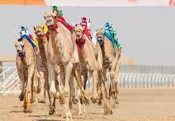 “النيابة العامة”: السجن لمدة سنة لوافد عربي زور مؤهلًا علميًا لممارسة الأعمال الهندسية