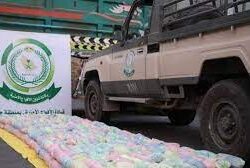 “الجلاجل” يكرم تجمع جازان الصحي بجائزة الأداء في مساري المختبرات والطب الشرعي