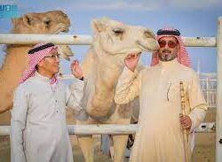 وفد مجلس الشورى يبحث تعزيز العلاقات البرلمانية مع مجلس الشيوخ بجمهورية نيجيريا الاتحادية