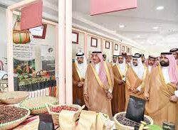 محافظ بيش يتفقد الحدائق والمواقع السياحية بالمحافظة