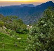 أبرز عناوين الصحف الصادرة اليوم