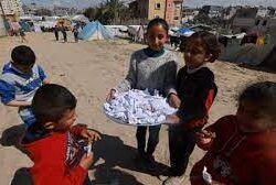 انجازات إنسان الجزيرة العربية 13 والأخير