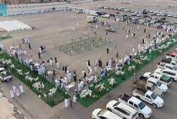 حرس الحدود بجازان يحبط تهريب 105 كيلوجرامات من نبات القات المخدر