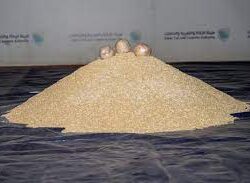 نائب أمير جازان يهنئ الفارسين “عبدالعزيز وعبدالرحمن قحل” لتحقيقهما بطولة الدوري السعودي للفروسية