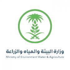 شاهد.. قوات التدريب بأمن العمرة وتنظيم الحشود ينتشرون بساحات الحرم المكي