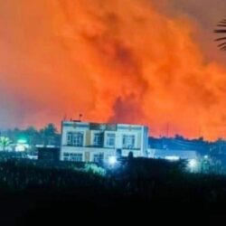 المملكة تشارك في مسيرة الإبل بباريس احتفاءً بقرار الأمم المتحدة بتخصيص عام ٢٠٢٤م “السنة الدولية للإبليات” والتعريف بمبادرة “عام الإبل ٢٠٢٤م”