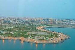 جازان.. إحباط تهريب “150” كيلوجرامًا من نبات القات المخدر